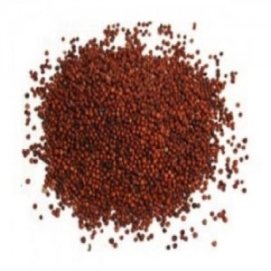 Natural Mandua Grains, For Cooking, Packaging Type : Plastic Bag