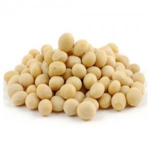 Common White Soybean, For Cooking, Style : Dried