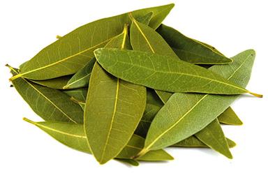 Bijak Agro Fresh Bay Leaf, For Good Nutritions, Good Health, Hygienically Packed, Color : Light Green