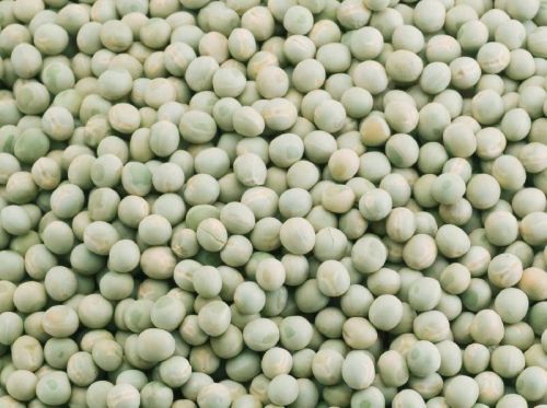 Round Natural GREEN WHOLE PEAS, For Cooking, Certification : FSSAI Certified