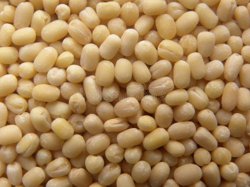 Natural URAD GOTA, For Cooking, Grade Standard : Food Grade