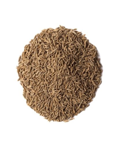 Organic Cumin Seeds, Color : Light Brown