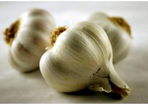 Garlic Extract, Packaging Type : Customised