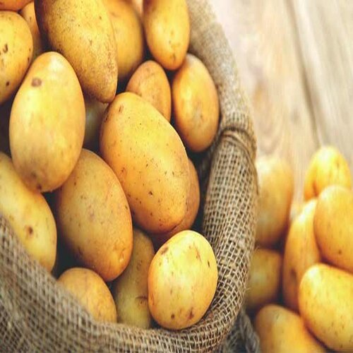 Round Natural Potato, For Cooking, Packaging Size : 10kg, 20kg, 25kg, 30kg