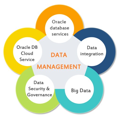 Database Designing Services