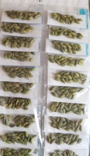 ELICHI PAPER SHEET, Shelf Life : 12 Months