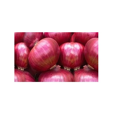 Red onion, Style : Natural