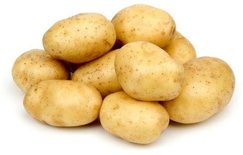 Organic Fresh Potato, Shelf Life : 2 Month