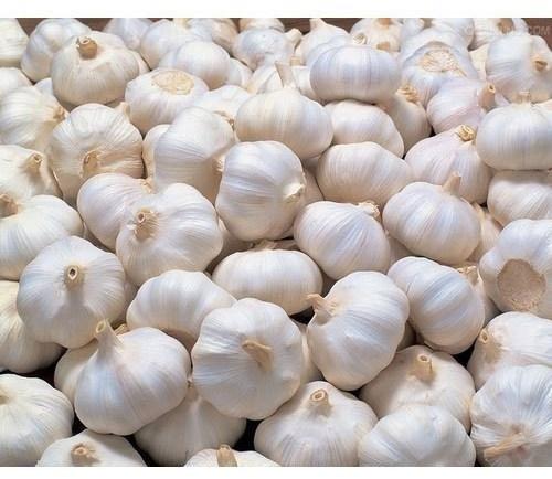 Fresh Garlic, Packaging Type : Gunny Bags, Net Bags