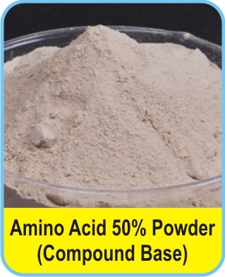 Compound Base Amino Acid Powder, For Industrial, Purity : 99.99 %