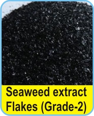 Seaweed Extract Flakes, Certification : ISI Certified