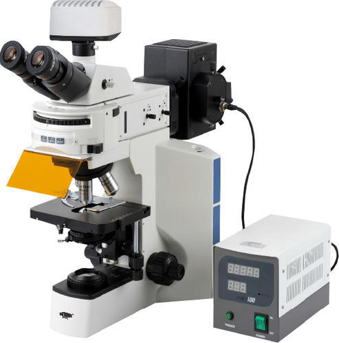 AFM 100 Fluorescence Microscope