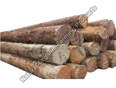 Non Polished Big Teak Wood Logs, For Door, Making Furniture, Feature : High Strength, Quality Tested