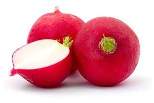 Fresh Red Radish