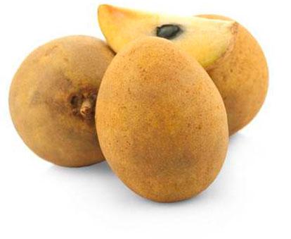 Organic Fresh Sapota, Feature : Good For Health