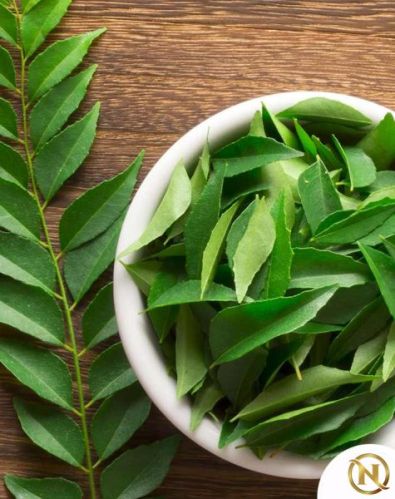 Neeli Natural Fresh Curry Leaves, Certification : FSSAI Certified