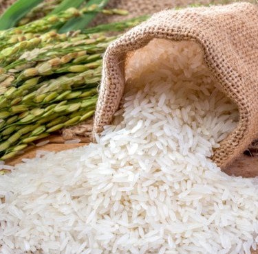 Natural Sona Masonry Rice, For Cooking, Feature : Free From Adulteration, Good Variety, Moisture Proof