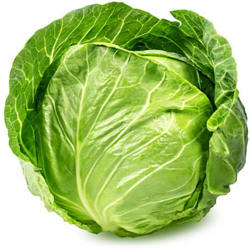 Natural Fresh Cabbage, For Cooking, Color : Light Green