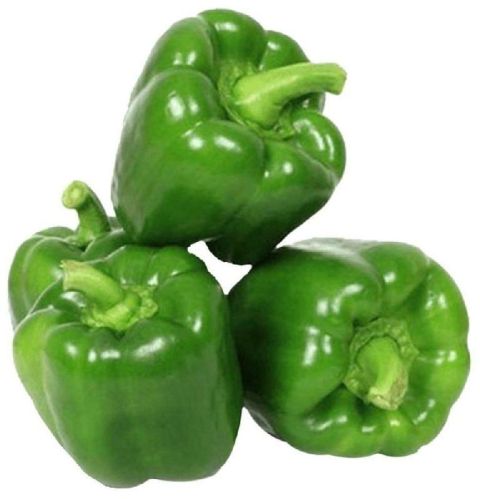 Round Natural Fresh Capsicum, For Human Consumption