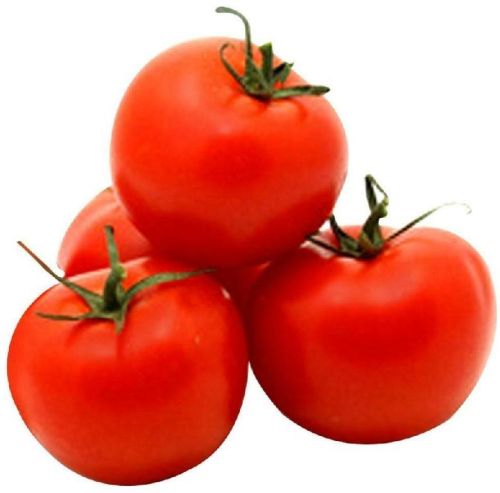 Common Fresh Tomato, For Cooking, Color : Red