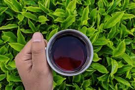 Sri Lanka Tea, For Home, Office, Restaurant, Certification : FSSAI Certified