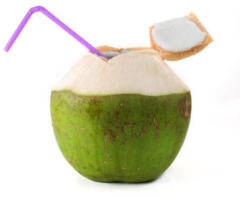 Natural Tender Coconut, For Good Taste, Healthy, Packaging Size : 50Kg