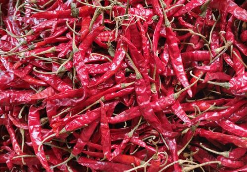 Natural Dry Red Chilly, For Cooking, Spices, Packaging Type : Plastic Packet