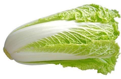 Fresh Chinese Cabbage, Shelf Life : 10-15days