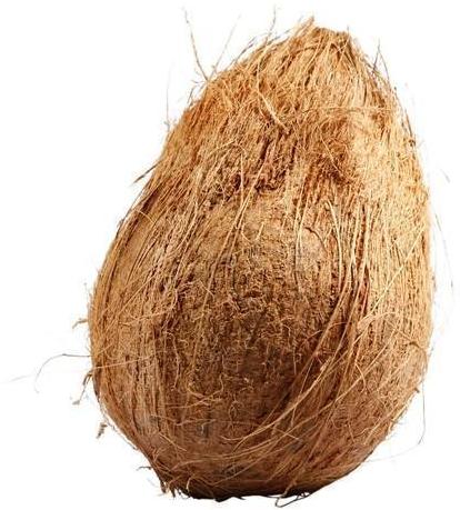 Semi Husked Coconut, For Free From Impurities, Freshness, Easily Affordable