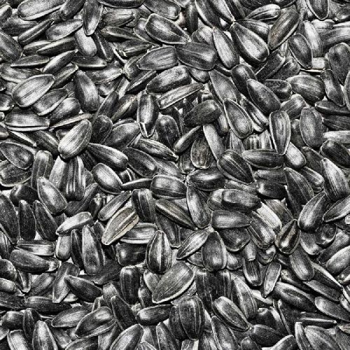 Soft QUALITY SUNFLOWER SEEDS JUMBO, Packaging Type : Paper Box