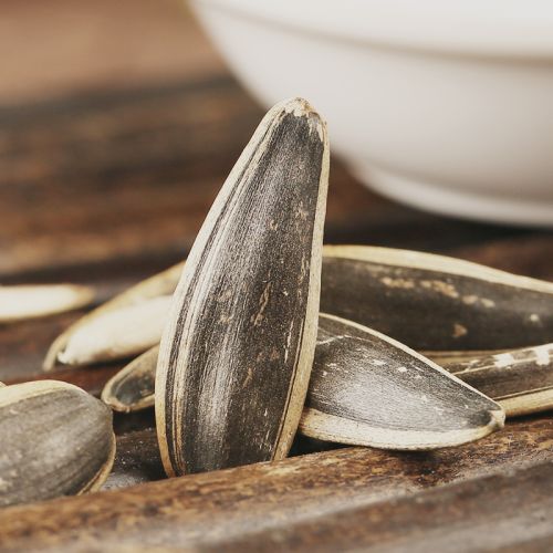 Sunflower seed, Packaging Type : Black for Agriculture, Cooking, Food