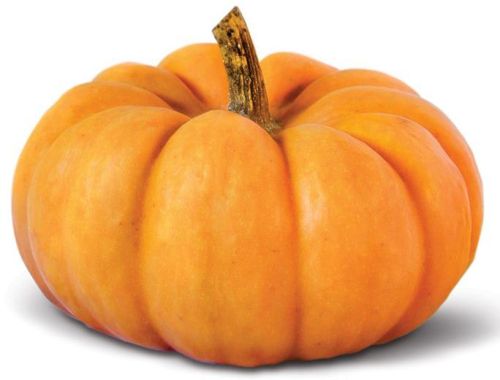 Organic Fresh Pumpkin, For Human Consumption, Packaging Type : Jute Bag