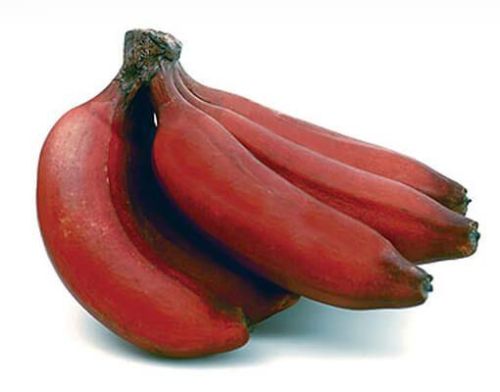 Organic Fresh Red Banana, Packaging Type : Wood Box