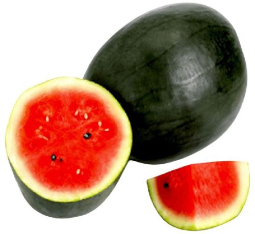 Natural Fresh Watermelon, For Cooking, Food Medicine, Cosmetics, Human Consumption