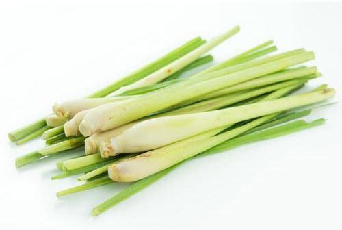 Organic Fresh Lemongrass