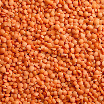 Red Lentils, For Cooking, Feature : Highly Hygienic, Healthy To Eat