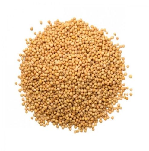 Yellow Mustard Seeds, For Spices, Cooking