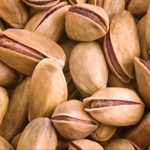 Round Bulk Turkish Pistachio Nut, For Cooking, Packaging Type : Plastic Box