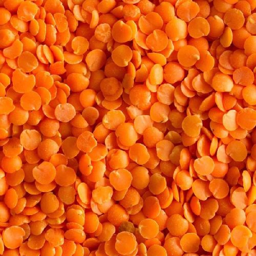 Common Red Lentils Masoor Dal, For Cooking, Feature : Healthy To Eat, Highly Hygienic, Nutritious