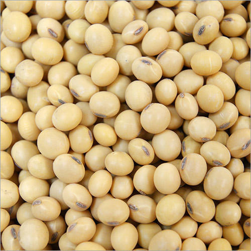 Natural White Soybean, For Human Consumption