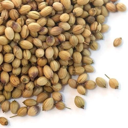 Natural Coriander Seeds, Specialities : Long Shelf Life, Good For Health