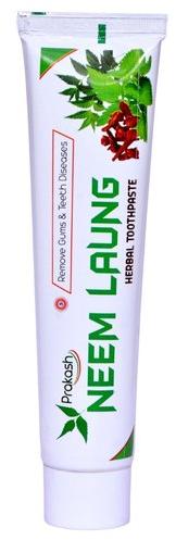 Single Piece Neem Laung Herbal Toothpaste, Packaging Size : 100g