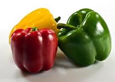 Natural Fresh Capsicum, For Cooking, Color : Red