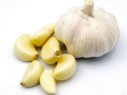 Raw Garlic, For Food Industry, Specialities : Non Harmful