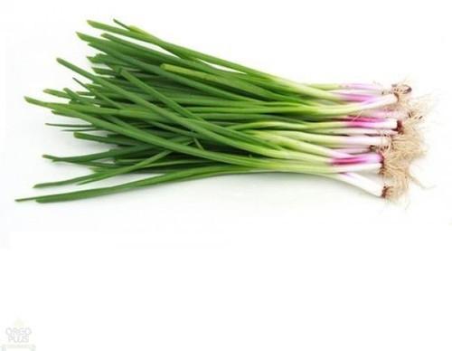 Natural Fresh Spring Onion, For Cooking, Packaging Type : Jute Sacks