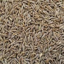 Organic cumin seeds, Packaging Type : Brown Medicine Grade