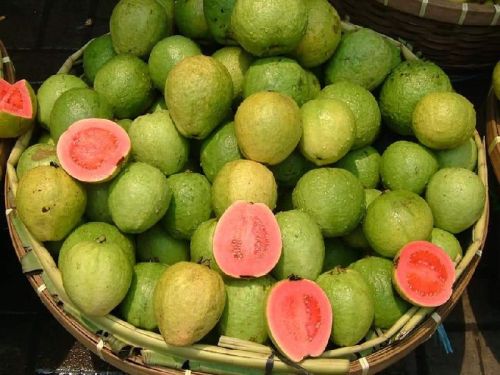 ORGANIC LALIT GUAVA, Certification : FSSAI Certified