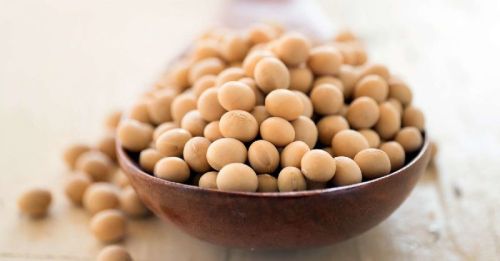 Common Soya Beans, Brand Name : Beanfeast, Packaging Type : Creamy