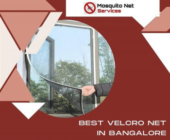 Mosquito Net For Windows
