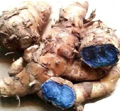 Natural Black Turmeric Food Grade, Packaging Type : Plastic Bag